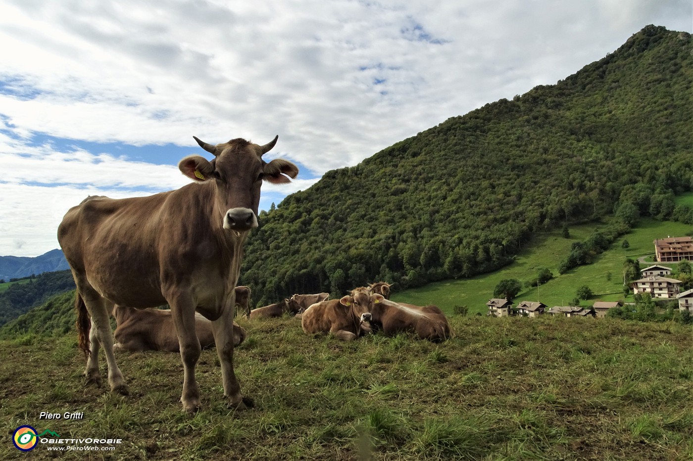 10 Il versante sud del Monte Castello visto dal roccolo di Valpiana.JPG